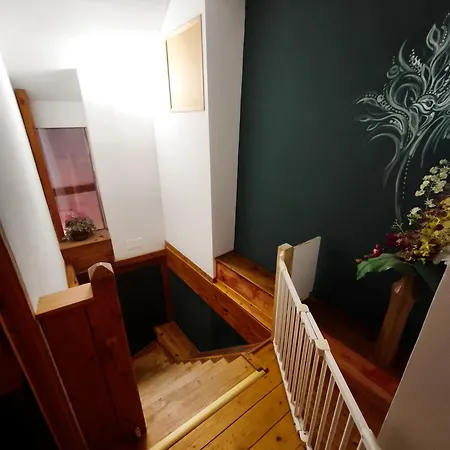 Le Roosevelt - Cote 204